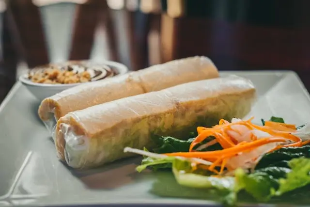 Chicken & Veggies Spring Rolls